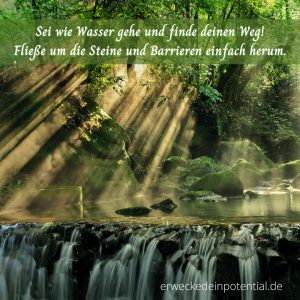 Mehr über den Artikel erfahren FLEXIBEL UND FREUDVOLL IM WANDEL DER ZEIT